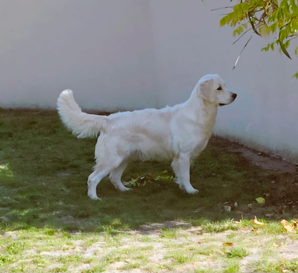 Unique au monde Du domaine du rochereau